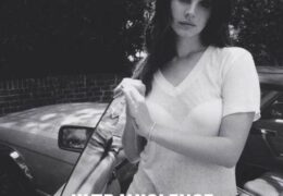 Lana Del Rey – Black Beauty (Instrumental) (Prod. By Paul Epworth)
