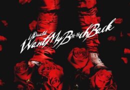 Lil Donald – I Want My B***h Back (Instrumental)