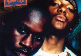 Mobb Deep – Drink Away the Pain (Situations) (Instrumental) (Prod. By Q-Tip)