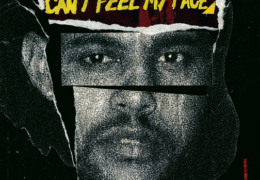 The Weeknd – Can’t Feel My Face (Instrumental) (Prod. By Max Martin & Ali Payami)