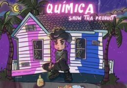 Snow Tha Product – Química (Instrumental) (Prod. By Dj Lil Sprite)