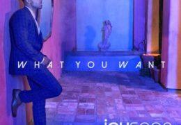 Jay Sean – What You Want (Instrumental) (Prod. By Kamoflage, The Heavy Group & Adam Wood)