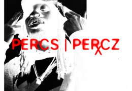 Denzel Curry – Percs | Percz (Instrumental) (Prod. By Denzel Curry & FNZ)