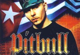 Pitbull - 305 Anthem (Instrumental) (Prod. By Lil Jon) | Throwback