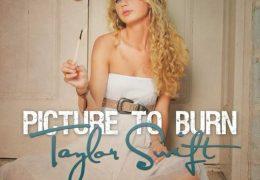 Taylor Swift - Picture To Burn (Instrumental) (Prod. By Nathan Chapman)