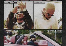 Skylar Blatt & Chris Brown – Wake Up (Instrumental) (Prod. By Car!ton, TM88 & TooDope)