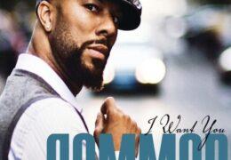 Common – I Want You (Instrumental) (Prod. By will.i.am)