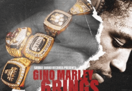 Gino Marley – Summer (Instrumental) (Prod. By Dirty Vans & McCoy)