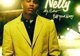 Nelly - Flap Your Wings (Instrumental) (Prod. By The Neptunes)