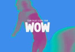 Team Salut & DUKI TRAN – Wow (Instrumental)