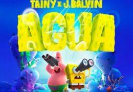 Tainy y J Balvin - Agua (Instrumental) (Prod. By Tainy)