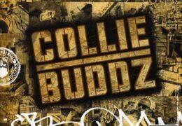 Collie Buddz - Come Around (Instrumental)