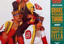 Salt-N-Pepa - Shake Your Thang (Instrumental) (Prod. By Luvbug)