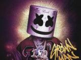 Marshmello, Polo G & Southside - Grown Man (Instrumental) (Prod. By Southside, Marshmello & Luca Presti)