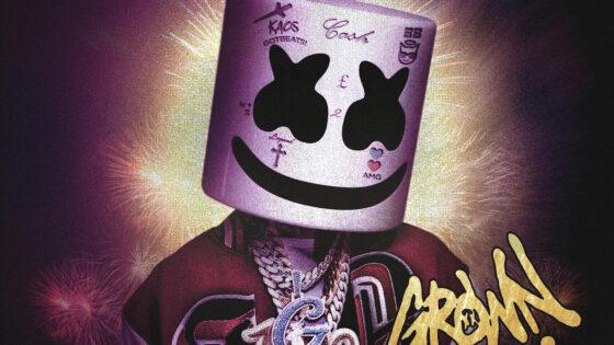 Marshmello, Polo G & Southside - Grown Man (Instrumental) (Prod. By Southside, Marshmello & Luca Presti)