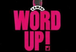 Cameo - Word Up! (Instrumental) (Prod. By Larry Blackmon)