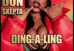 Stefflon Don - Ding-A-Ling (Instrumental) (Prod. By Rymez)