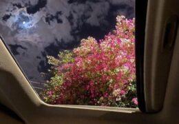 Che - feel (Instrumental) (Prod. By FwThis1Will)