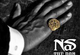 Nas - The Don (Instrumental) (Prod. By Salaam Remi, Da Internz & Heavy D)