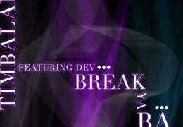 Timbaland - Break Ya Back (Instrumental) (Prod. By Timbaland, Danja & J-Roc)