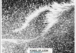 Kings of Leon - Use Somebody (Instrumental) (Prod. By Angelo Petraglia & Jacquire King)