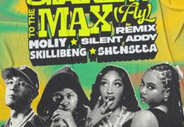 MOLIY & Silent Addy, Skillibeng & Shenseea - Shake It To The Max (FLY) (Instrumental) (Prod. By silent addy & disco Neil)