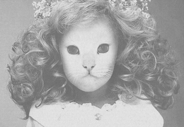 Mr.Kitty - Carnations (Instrumental) (Prod. By Mr.Kitty)