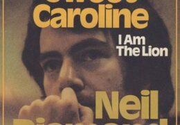 Neil Diamond - Sweet Caroline (Instrumental) (Prod. By Chips Moman, Neil Diamond & Tommy Cogbill)