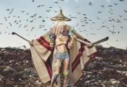 Die Antwoord - STOOPID RICH (Instrumental) (Prod. By god, Yolandi Visser & Ninja)