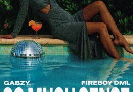 Gabzy & Fireboy DML - So Much Sense (Instrumental) (Prod. By AoD & The Elements)