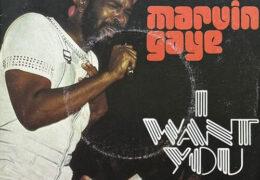 Marvin Gaye - I Want You (Instrumental) (Prod. By T-Boy & Leon Ware)