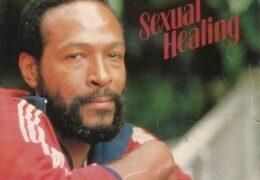 Marvin Gaye - Sexual Healing (Instrumental) (Prod. By Marvin Gaye)