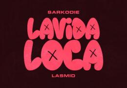 Sarkodie - Lavida Loca (Instrumental) (Prod. By M.O.G Beatz)