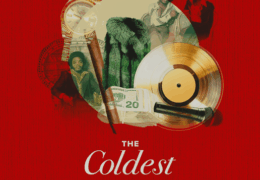 Roc Marciano - Travel Fox (Instrumental) (Prod. By DJ Premier)