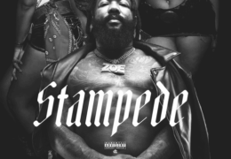 Gorilla Zoe - Stampede (Instrumental) (Prod. By Cutta Classic)