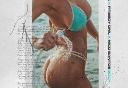 Topic, Fireboy DML & Nico Santos - Body (Instrumental) (Prod. By Topic, A7S & Loris Cimino)