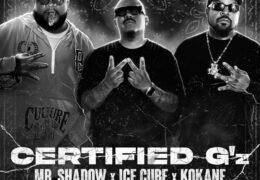 Mr. Shadow, Ice Cube & Kokane - Certified G'z (Instrumental) (Prod. By Dr. Evo & NOKTURN)