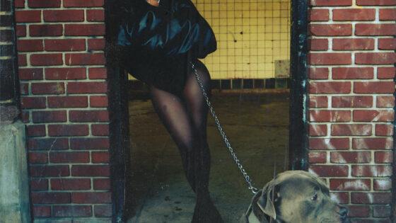 Lola Brooke - Pain (Instrumental) (Prod. By Derrick Milano, Tobias Wincorn & Reefa)