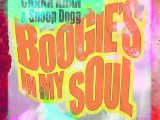 Chaka Khan & Snoop Dogg - Boogie's In My Soul (Instrumental) (Prod. By Greg Kurstin)