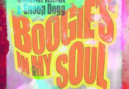 Chaka Khan & Snoop Dogg - Boogie's In My Soul (Instrumental) (Prod. By Greg Kurstin)