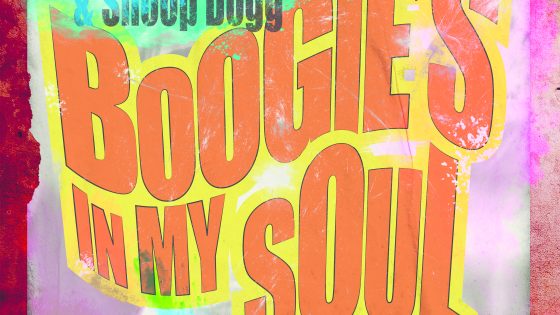 Chaka Khan & Snoop Dogg - Boogie's In My Soul (Instrumental) (Prod. By Greg Kurstin)