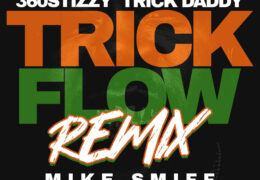 360stizzy - Trick Flow (Remix) (Instrumental) (Prod. By Shard beatss)
