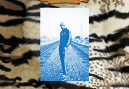 Freddie Gibbs - Knicks Remix (Instrumental) (Prod. By Madlib)