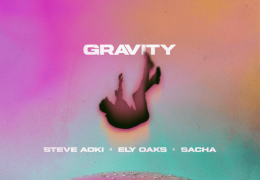 Steve Aoki, Ely Oaks & Sacha - Gravity (Instrumental) (Prod. By Steve Aoki, Ely Oaks & Sebastian Bliem)