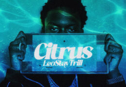 LeoStayTrill - Citrus (Instrumental) (Prod. By LeoStayTrill & Scratch)