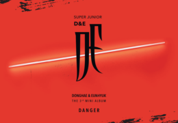 SUPER JUNIOR-D&E - If You (Korean Version) (Instrumental)